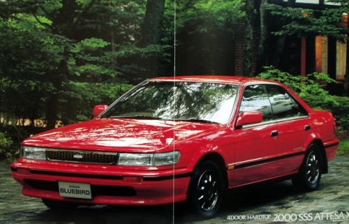 Ư ٰްSSS 1989N10